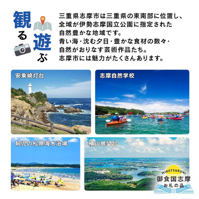 御食国志摩満喫旅行券 9,000円分 旅行クーポン／伊勢志摩 旅行 伊勢 志摩 旅行券 三重 観光 宿泊券 利用券 体験 トラベル チケット 観る 遊ぶ 食べる 泊まる 温泉 ホテル 旅館 ギフト 金