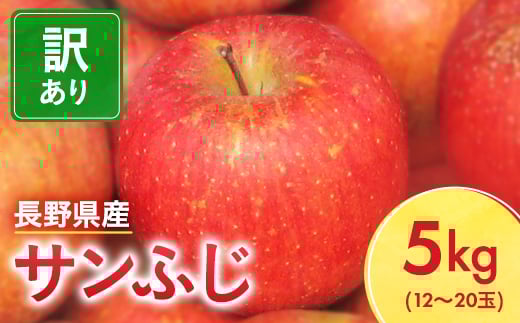 
            長野県産 サンふじ りんご 家庭用 訳あり 5kg(12～20玉)【1360194】
          