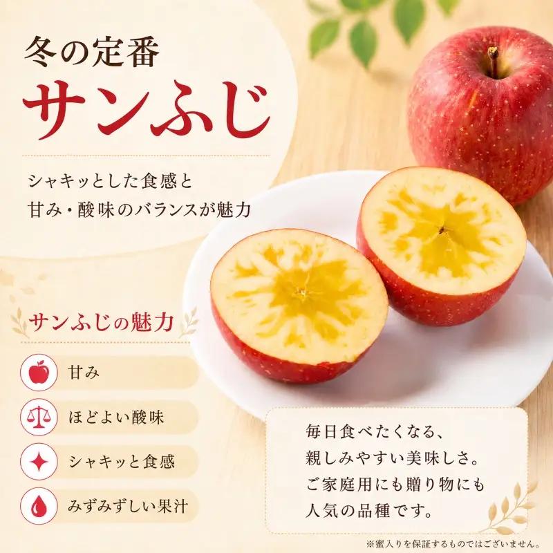 【12月発送】完熟サンふじ＆シナノゴールド詰め合わせ 約5kg(14～20玉)  北田りんご園 kitada005