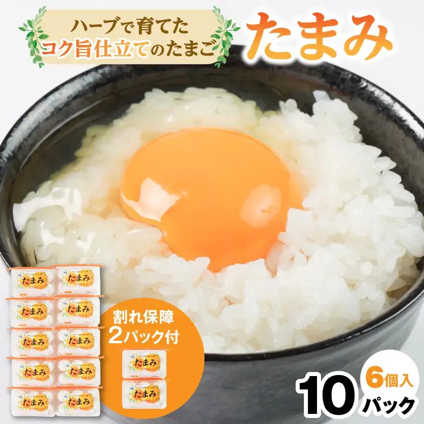 いすみポートリー産たまご「たまみ」6個入×10パック+割れ保障2パック【配送不可地域：離島】【1729054】