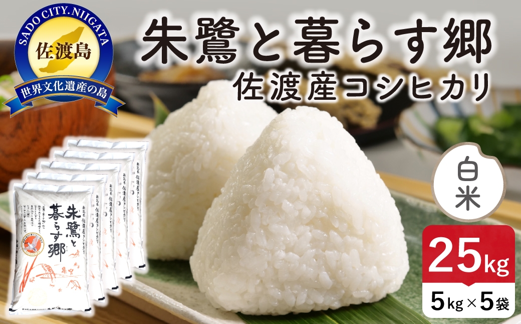 
                  令和8年産 佐渡島産 朱鷺と暮らす郷 白米25kg 特別栽培米 | 新潟県産コシヒカリ 佐渡産コシヒカリ 朱鷺と暮らす郷 朱鷺認証米 特別栽培米 お米 米 白米 精米 おこめ コメ 25キロ にいがた さど 新潟県 佐渡市
                