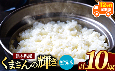 【定期便12回】令和7年産 新米 熊本県産 くまさんの輝き 無洗米 10kg | 小分け 5kg × 2袋 こめ 米 無洗米 ごはん 銘柄米 ブレンド米 単一米 人気 日本遺産 菊池川流域 こめ作り ごはん ふるさと納税 返礼品