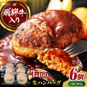 【ふるさと納税】飛騨牛 生ハンバーグ（200g×6個）牛肉 100% 手ごね 特大 国産牛 冷凍 和牛 岐阜市/丸福商店[ANBO030]