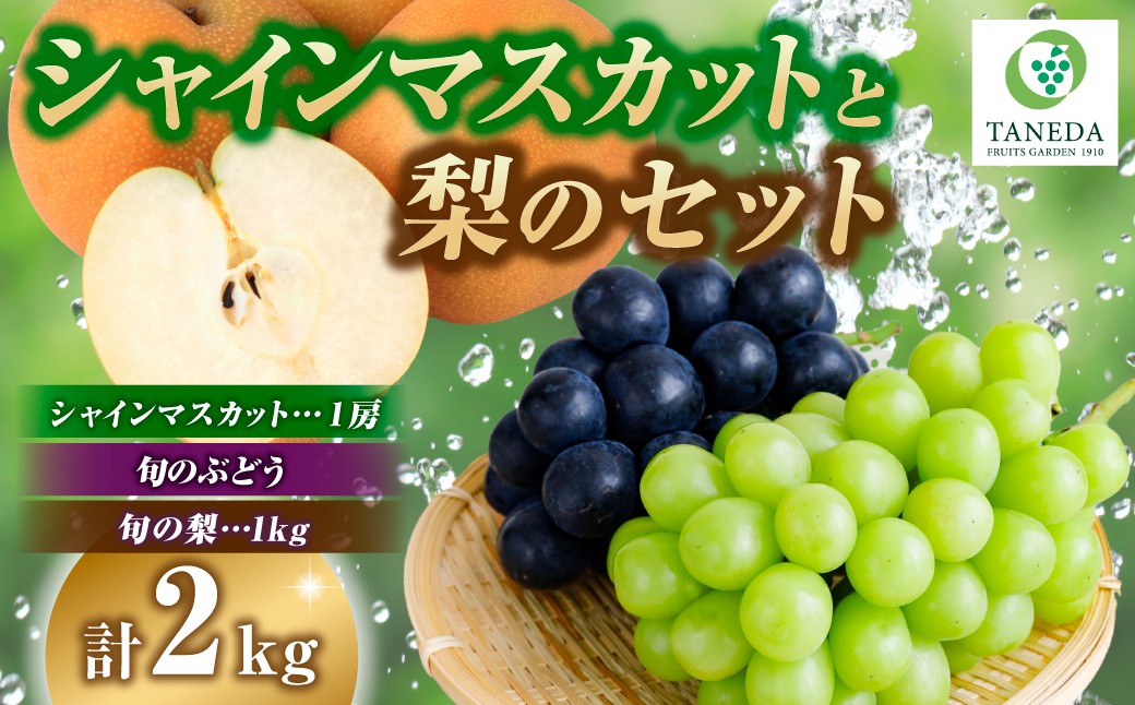 
                  シャインマスカット等と旬の梨セット計2kg（フルーツ 果物 くだもの シャインマスカット ブドウ  2026 贈答用 プレゼント 限定）
                