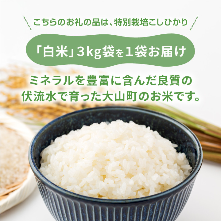減農薬・減化学肥料　特別栽培米こしひかり　3kg（白米）