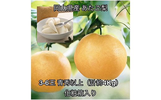 あたご梨3-6玉 青秀以上(約4kg) 化粧箱入り 岡山県産