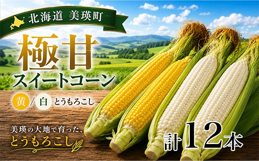 
                  【先行予約】北海道 とうもろこし 12本 イエローコーン＆ホワイトコーン 各6本 令和8年産 おおとり｜スイートコーン 朝採れ 朝もぎ 新鮮 トウモロコシ コーン 美瑛町 美瑛 びえい [011-67]
                
