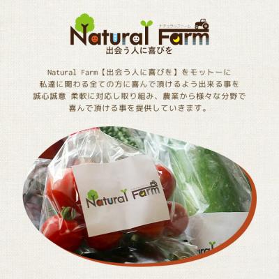 ふるさと納税 枕崎市 発酵ジンジャーシロップ(150g×3個)【非加熱発酵】【米入り】A7-12 |  | 03