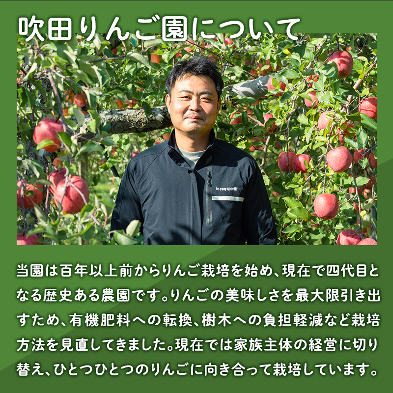 12月  吹田りんご園 山の完熟サンふじ・シナノゴールド約3kg 【吹田りんご園・青森りんご・平川市広船産・12月】
