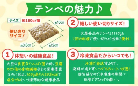 長崎てんぺ 8個セット / お手頃 一万円 大豆 健康食品 小分け パック 美容 健康 ヘルシー ヴィーガン 低カロリー 【大屋食品工業】[OAB001]