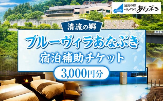 ブルーヴィラあなぶき 宿泊補助チケット 3000円分《30日以内に出荷予定(土日祝除く)》 清流の郷ブルーヴィラあなぶき 徳島県 美馬市 宿泊 旅行 チケット 宿泊券 利用券 補助券 3000円 ホテル 送料無料