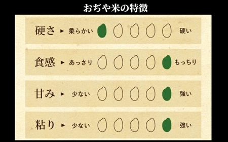 【令和7年産】新潟産コシヒカリ「おぢや米」 定期便 15kg（5kg×3回）