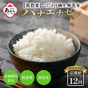 【ふるさと納税】【令和6年産 新米】《定期便》5kg×12回 60kg 特別栽培米 ハナエチゼン 無洗米 低農薬 《食味値85点以上！こだわり極上無洗米》 / 福井県 あわら 北陸 米 お米 人気