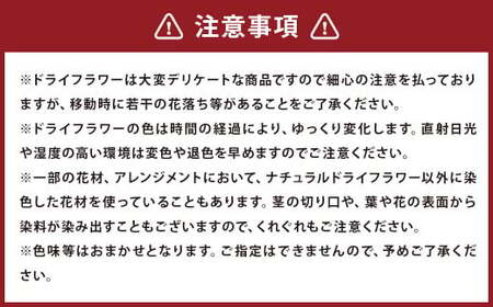 観葉植物 のような アレンジ 1個 ドライフラワー 植物 鑑賞用