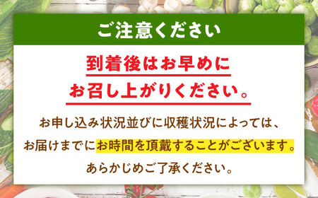 【先行予約】【2025年1月初旬より順次発送】土の恵みそのままに！ 大洲産 泥付きレンコン 約2.5kg　愛媛県大洲市/沢井青果有限会社 [AGBN021]レンコンれんこん野菜レンコンれんこん野菜レン