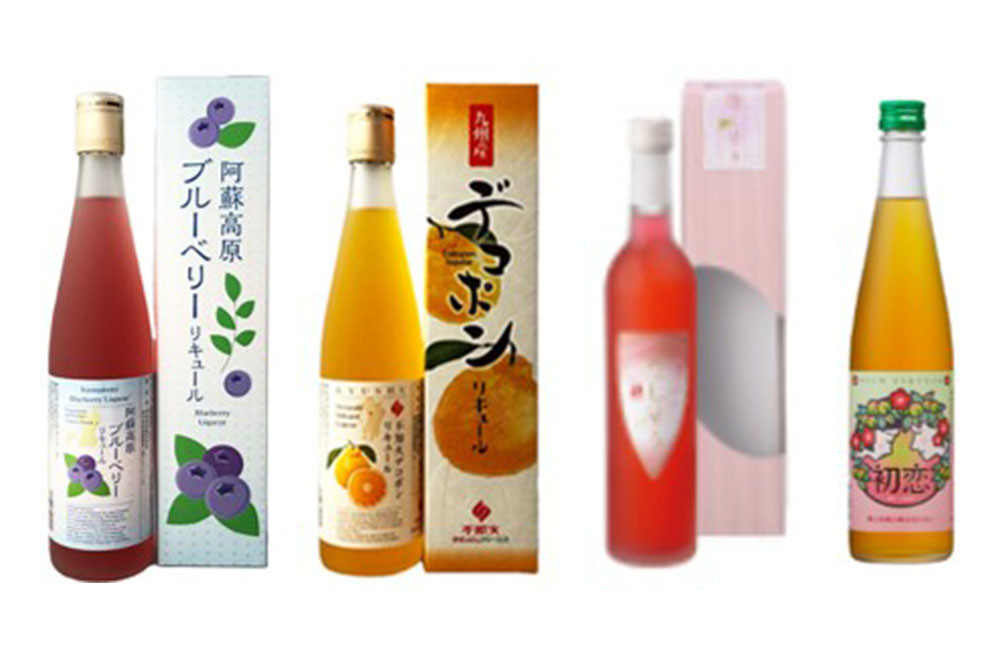 【年6回定期便】熊本の魅力を12本のお酒で味わう『贅沢なリキュールの宝石箱』