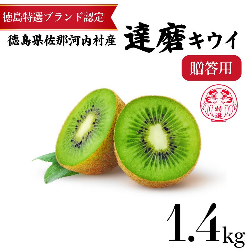 【ふるさと納税】 高級 キウイ 達磨キウイ 8玉 1.4kg きうい キウイ フルーツ 果物 くだもの お取り寄せ 人気 おすすめ 徳島県 送料無料 徳島青果