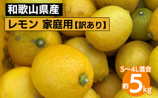 【先行予約】【訳あり・ご家庭用】和歌山県産 レモン 約5kg S～4Lサイズ混合 柑橘