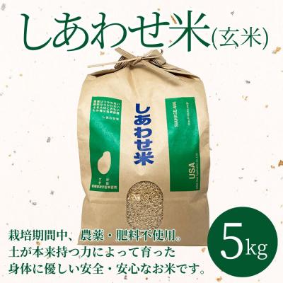 ふるさと納税 宇佐市 しあわせ米 玄米 5kg【101000402】【宇佐本百姓】