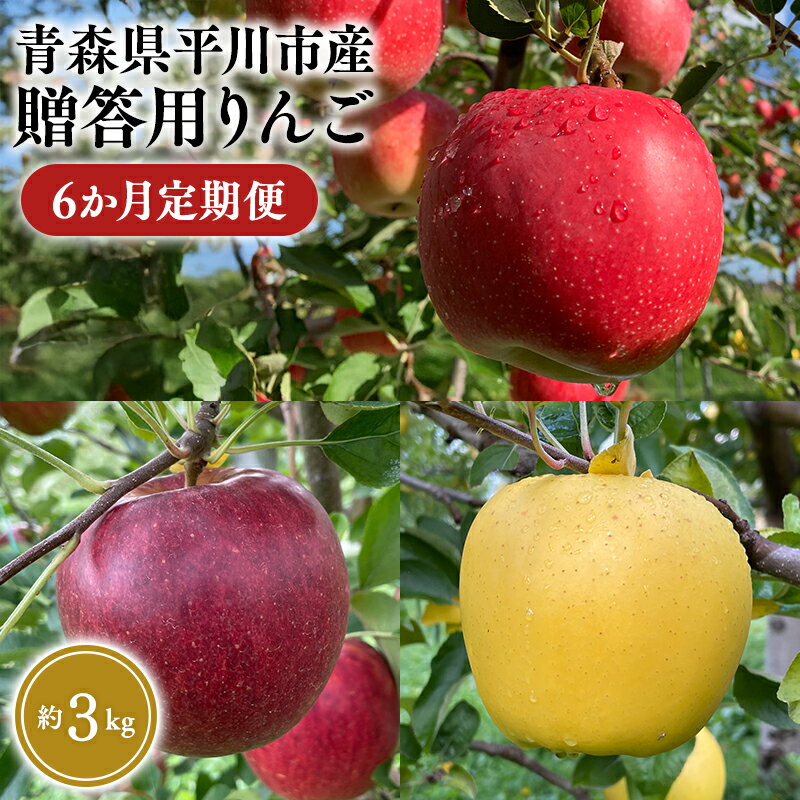 【ふるさと納税】≪8月下旬頃より発送≫青森県産 贈答用りんご 6か月定期便 約3kg【青森県 平川市 なるみ農園】贈答 贈答規格 青森 青森県産 平川 りんご リンゴ 林檎 くだもの 果物 フルーツ レビューキャンペーン