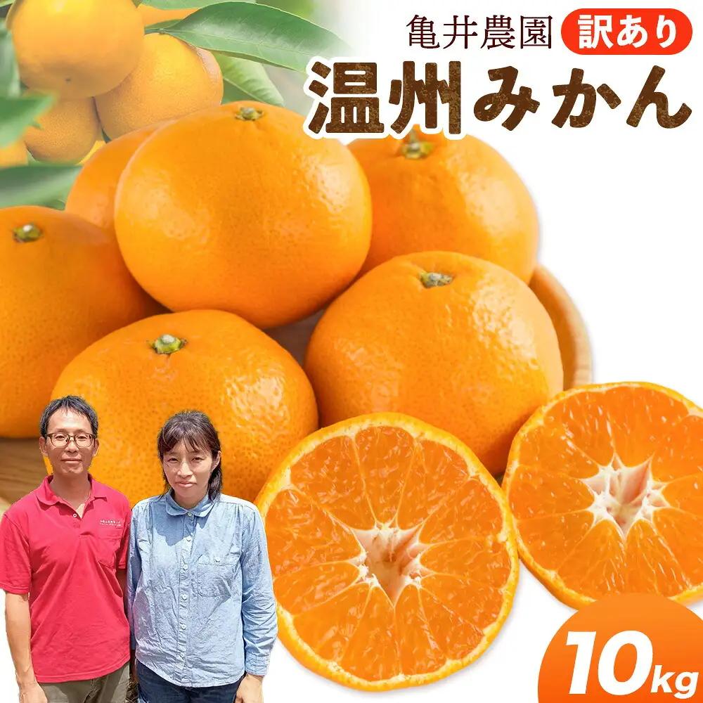 温州みかん 10kg 訳あり品 亀井農園 みかん