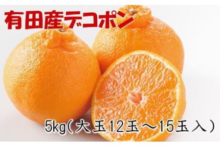 【お味濃厚】紀州有田産の大玉デコポン約5kg(12玉～15玉入り・青秀以上) ※2025年1月中旬～3月中旬頃順次発送【tec811A】