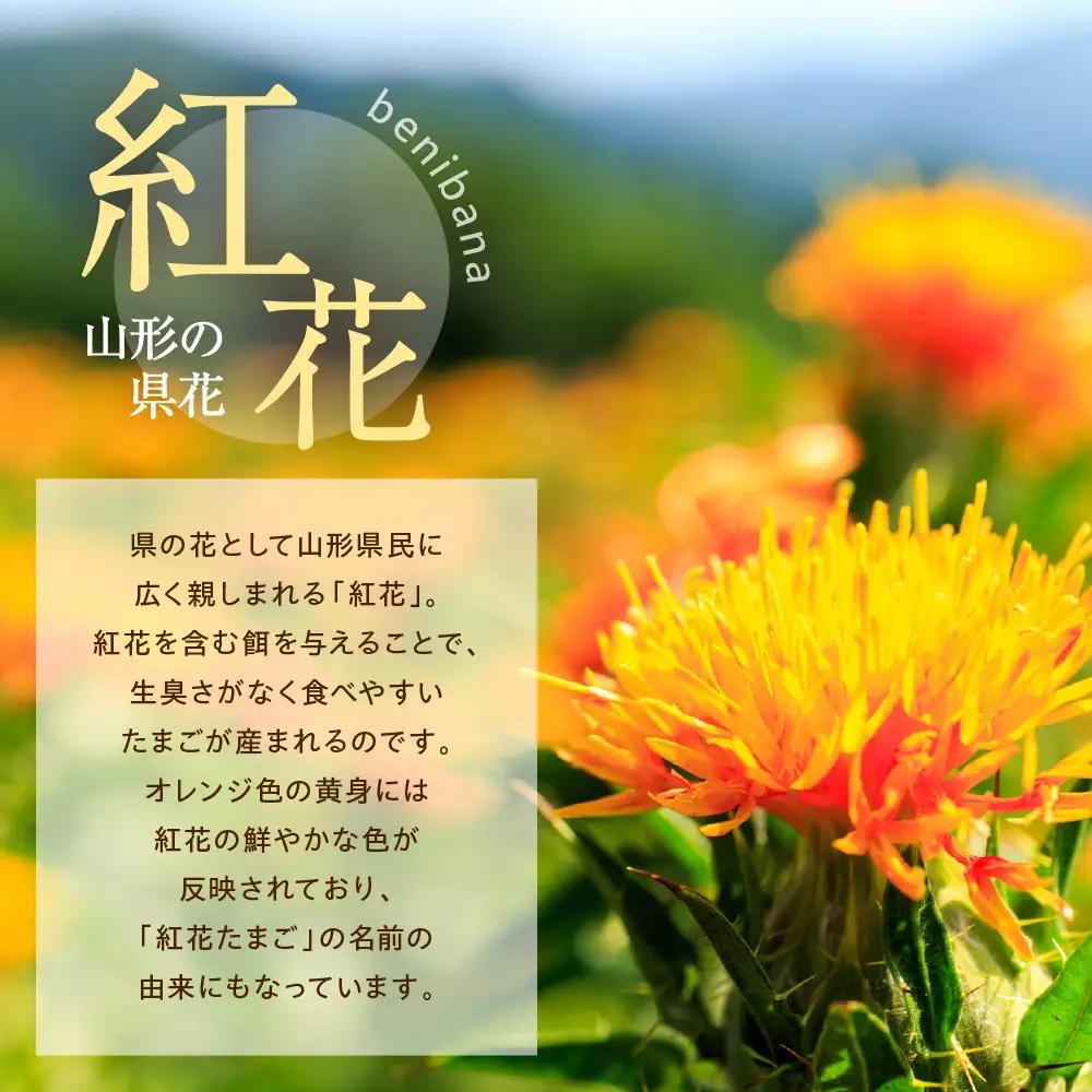 特選 紅花 生たまご 20個 たまご