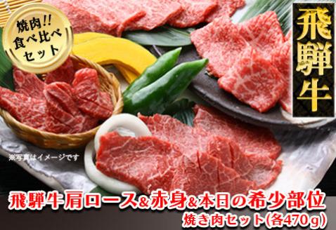 【冷凍】飛騨牛肩ロース・赤身・本日の希少部位焼肉セット 各470g【11-39】