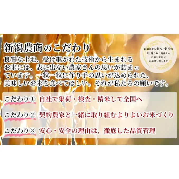 【先行予約】R8年産新潟産コシヒカリ精米3kg　全10回 お米 白米 ご飯 ブランド米 銘柄米 おにぎり お弁当 産地直送