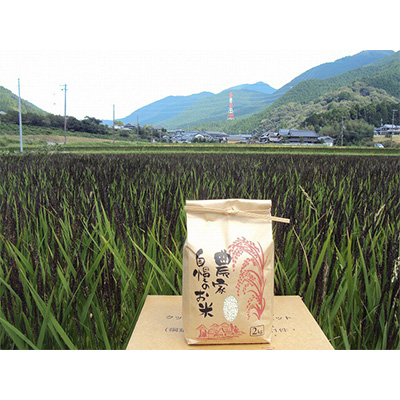 
                  ＜令和4年産＞みどりもち精米2kg【1268157】
                
