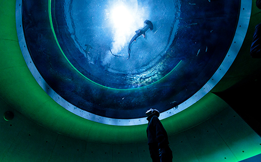 四国水族館 夜間全館貸切利用＜2時間＞［限定20組］ FAH-0153
