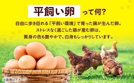 平飼い卵 24個セット たまご 卵 鶏卵 玉子 平飼い&nbsp;タマゴ 新鮮 大阪府高槻市/ベジ彩ファーム[AOEJ003]