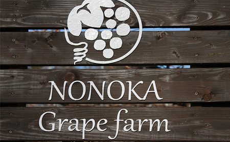 2025年発送 先行予約 贈答用 シャインマスカット約4kg 9～13房 果物 ぶどう フルーツ デザート おやつ 長野県産 信州の葡萄 贈り物 プレゼント