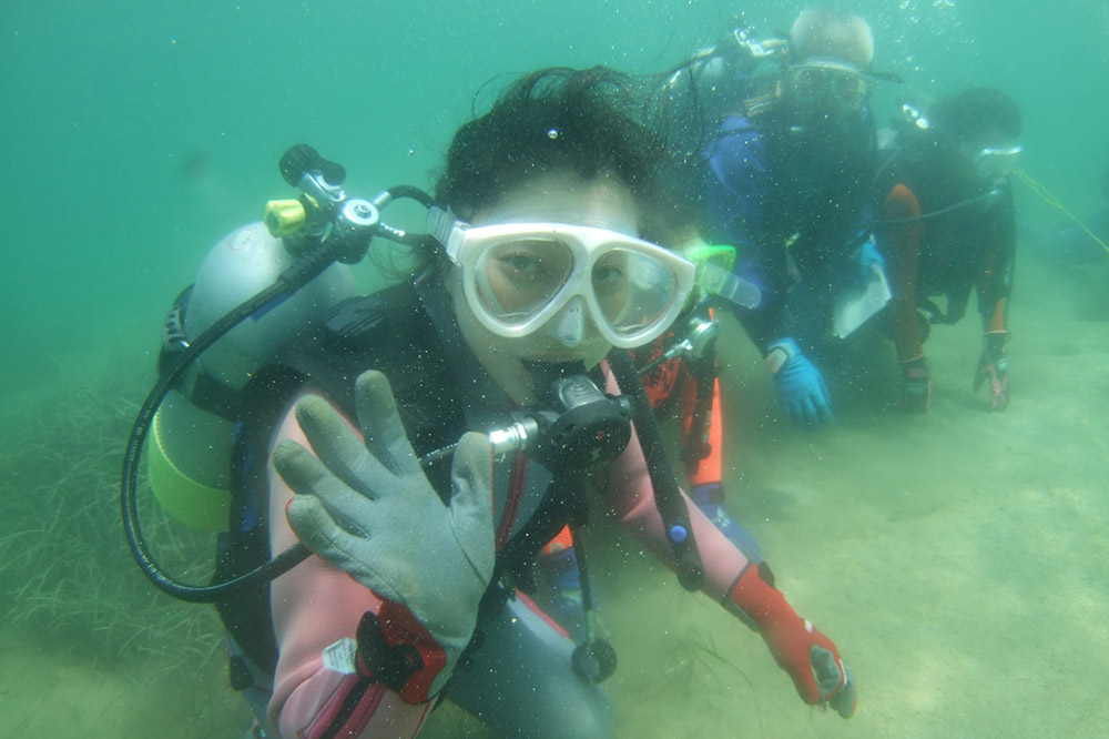 【なまはげの海でダイビング！！】 海洋体験ビーチダイビング 2名様 秋田県 男鹿半島 男鹿市