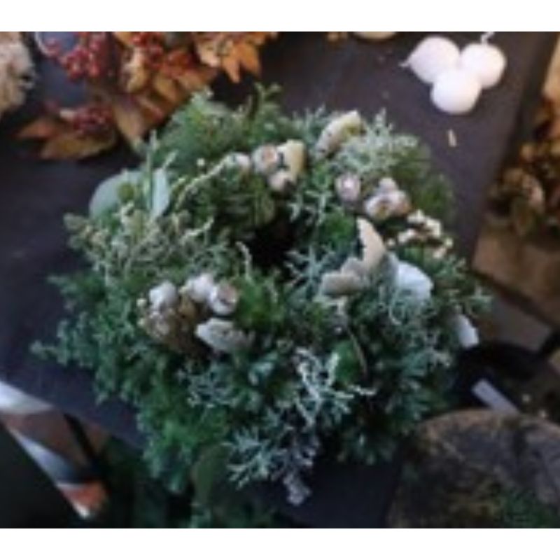 【ふるさと納税】クリスマスリース Sサイズ シルバーホワイト ※2023年11月8日～順次発送 植物 おしゃれ キレイ 癒し シック 針葉樹 白 ブラウン インテリア グリーンアイテム自宅 玄関 店舗 　お届け：2025年10月29日～11月15日まで