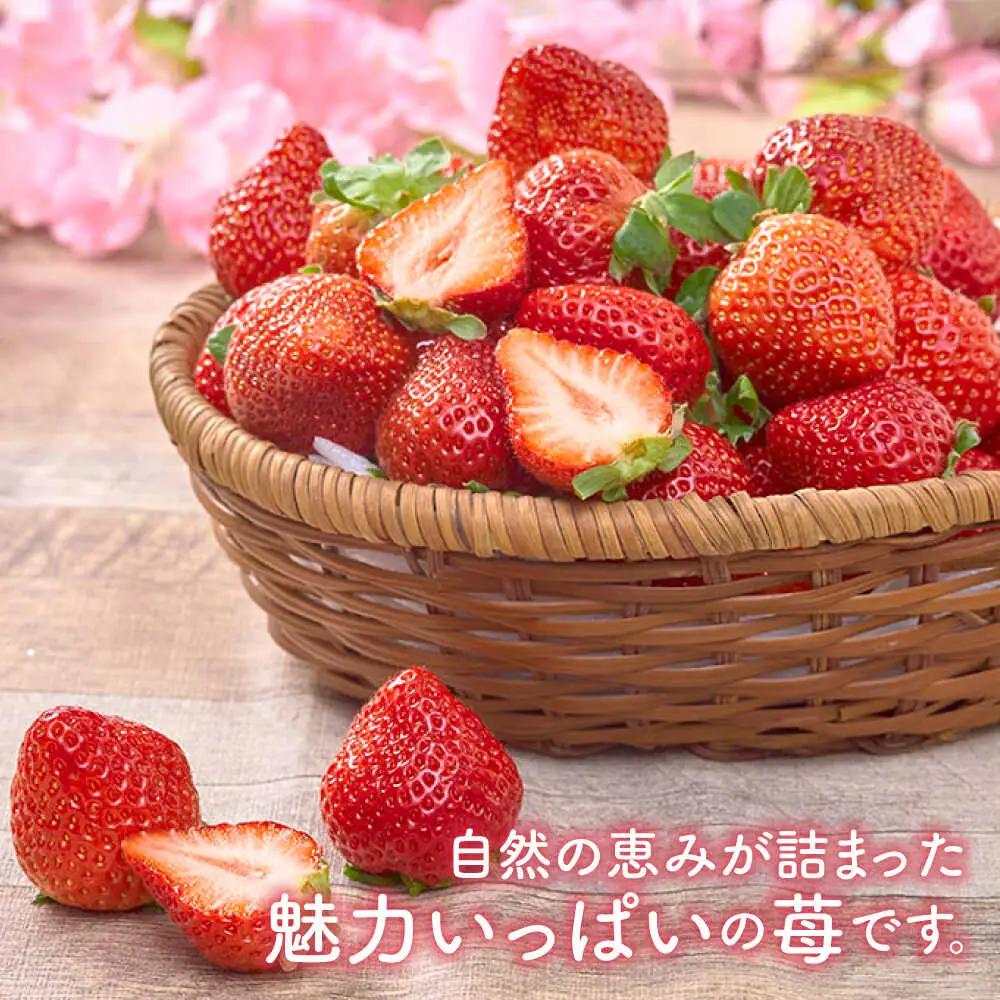 【全3回定期便】福岡産 冬あまおう 250g×4P BGAG042 定期便 いちご苺