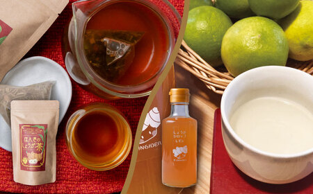 【ほんきのしょうが】はたらくオトナ女子のカラダケアセット【ジンジベル】[AYAD007]