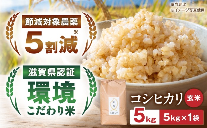 
                  【令和8年産 新米】＜先行予約＞玄米 コシヒカリ 5キロ 5㎏ 米 コメ お米 ご飯 おにぎり こめ 産地直送 ふるさと納税 滋賀県 長浜市 [AQAK001]
                