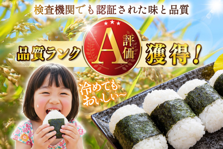 米 令和7年産 元気つくし 白米 10kg [um40azp240000] お米