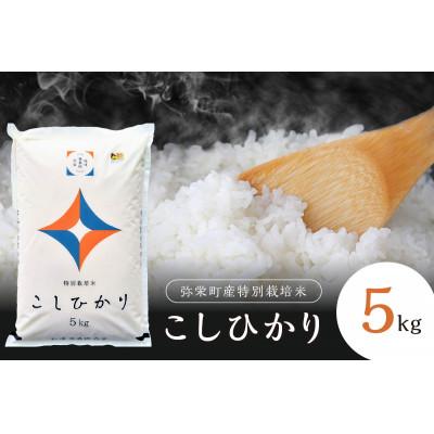ふるさと納税 浜田市 弥栄町産特別栽培米「秘境奥島根弥栄」こしひかり5kg