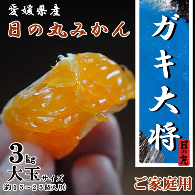 
果汁しっかり自然の恵み!「ガキ大将」3kg(大玉サイズ)日の丸みかん/ご家庭用＜C79-11＞【1452034】
