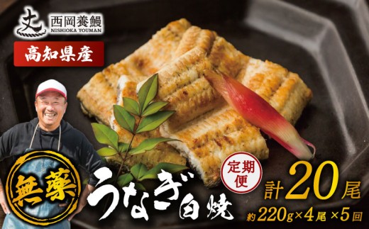 完全無投薬 鰻白焼 国産 定期便 計20尾 ( 220g × 4尾 × 5回 ) うなぎ白焼 鰻 厳選 無薬 うなぎ 白焼き 白やき 国産うなぎ 国産鰻 人気 鰻白焼き 特製タレ 山椒 セット 湯煎 簡単調理 旨味 風味 香ばしい うな重 土用の丑の日 スタミナ食 ギフト 贈り物 贈答 お取り寄せ グルメ 高級 うなぎ料理 こだわり 冷凍 高知県産 ランキング おすすめ 西岡養鰻 安芸市 高知県