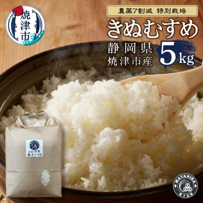 ふるさと納税 焼津市 特別栽培 きぬむすめ 白米5kg(a21-076)