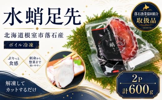 
                  G-20003 【北海道根室産】ボイル水たこ足先2P(計600g)
                