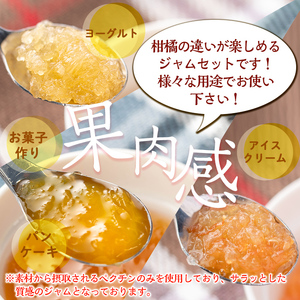 isa682 3種の柑橘ジャム食べ比べセットB(計9個・ボンタン、サワーポメロ、紅甘夏 各140g) 加工食品 果物 フルーツ 詰め合わせ 果肉 柑橘 低糖 ハンドメイド ジャム ギフト マーマレード