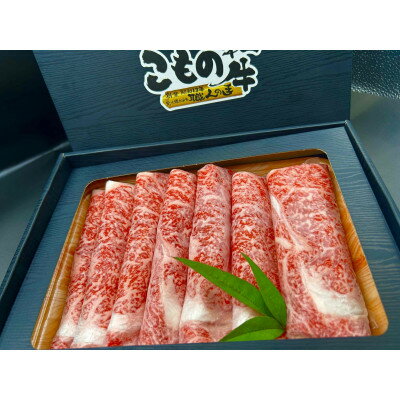 【ふるさと納税】こもの和牛霜降りすき焼き・しゃぶしゃぶ用500g【配送不可地域：離島】【1676412】