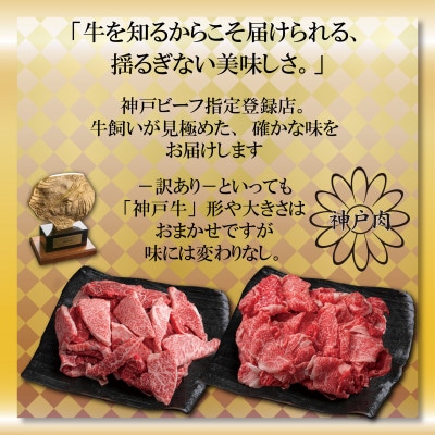 訳あり 神戸牛 切り落とし肉・焼肉用 計800g AGSY2 【2026年4月より順次発送】【配送不可地域：離島】