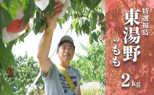 
            No.2293特選福島・東湯野のもも約2kg【2025年発送】
          