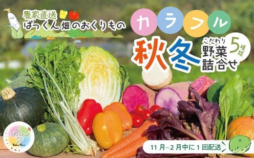 【 早期受付 】 とれたて 新鮮 ！ぱっくん畑のおくりもの 農家直送 秋・冬 野菜セット 約5種類 国産 野菜 やさい ベジタブル 先行 予約 高知県 高知 しまんと 四万十市 野菜便 詰め合わせ 限定 お取り寄せ 秋野菜 冬野菜 【2026年11月～2027年2月の間に1回配送】26-054