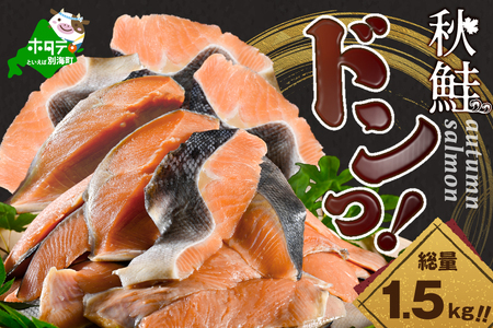 【訳あり】秋鮭ドンっ！無塩 秋鮭 切り身 1.5kg 【KN000PB06】（ さけ サケ 秋鮭 切身 鮭 切り身 鮭 訳あり 鮭 大人気 鮭 海鮮）